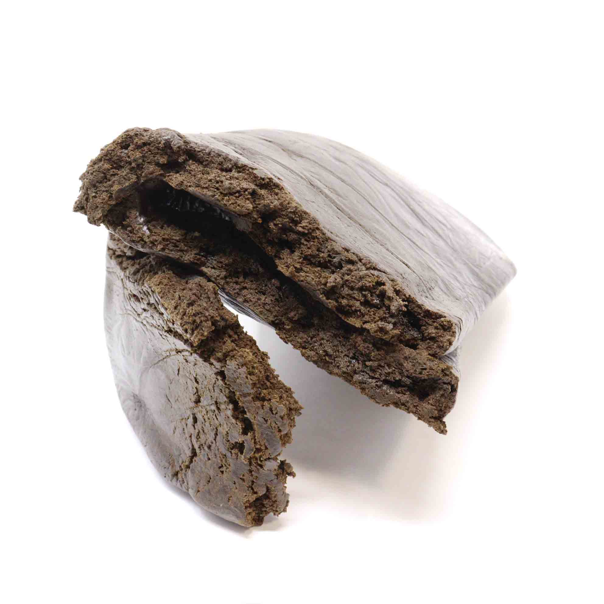 Malana Elephant Haschisch kaufen